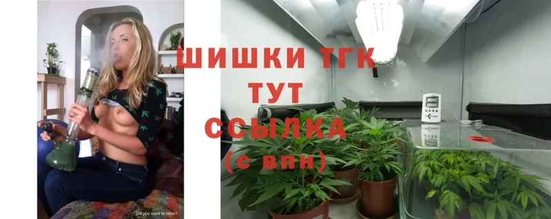 Бошки Шишки OG Kush  купить наркотик  Нелидово 